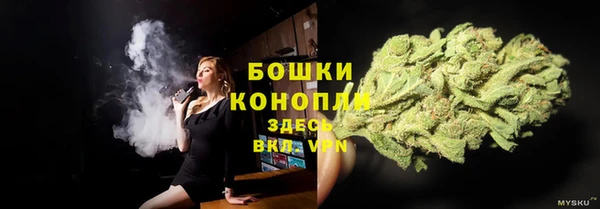 прущие крисы Абаза