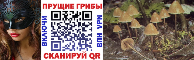 купить наркотик  omg ссылка  Псилоцибиновые грибы MAGIC MUSHROOMS  Благовещенск 