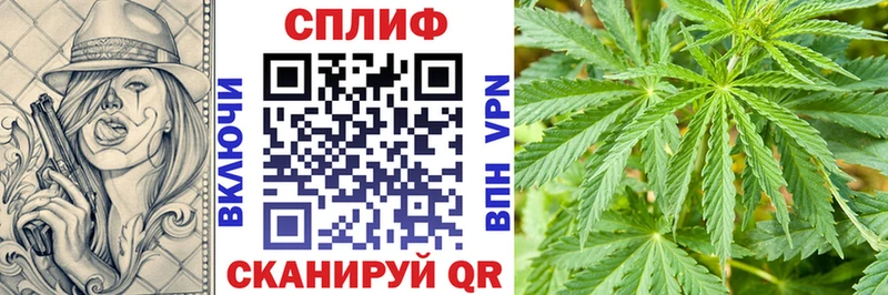Каннабис White Widow сколько стоит Благовещенск